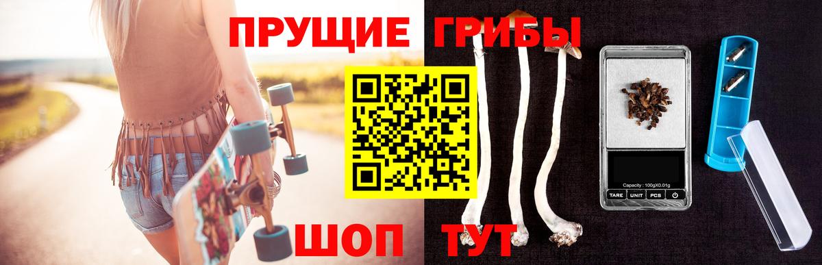 Когалым  дарнет шоп  Галлюциногенные грибы MAGIC MUSHROOMS  Вход с VPN  Галлюциногенные грибы Psilocybine cubensis 