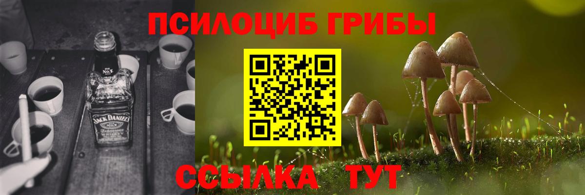 Псилоцибиновые грибы Psilocybine cubensis Когалым